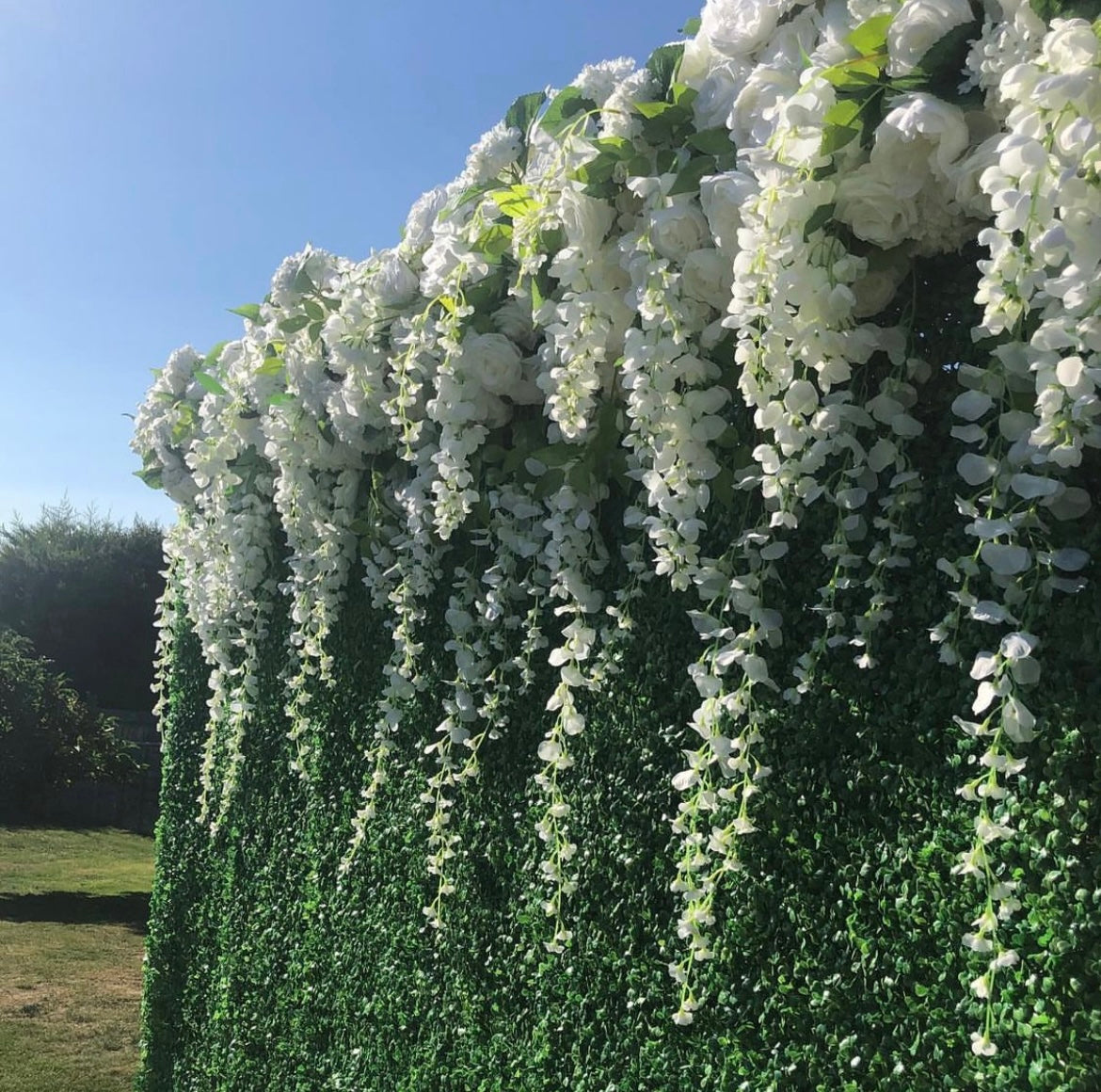 Box Hedge Wall